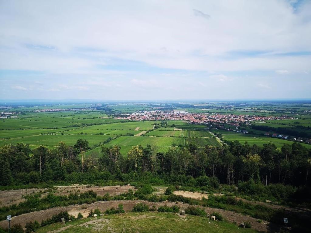 Wohnen Im Herzen Der Pfalz Neustadt an der Weinstraße Esterno foto
